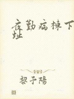 夜勤病栋下载地址