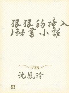 狠狠的撞入(h)秘书小说