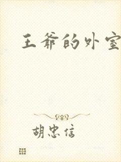 王爷的外室