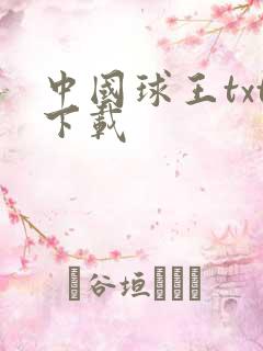 中国球王txt下载