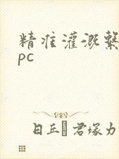 精准灌溉系统npc