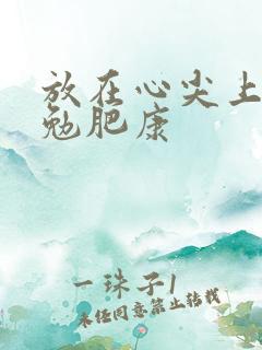 放在心尖上七猫勉肥康