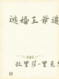 逃婚王爷追逃妃