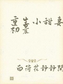 重生小甜妻 慕初晨