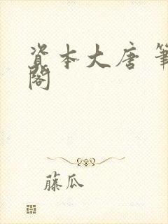 资本大唐 笔趣阁