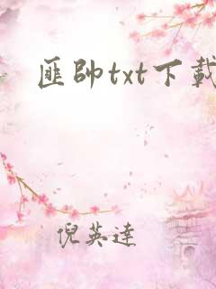 匪帅txt下载