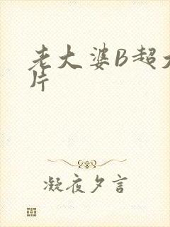 老大婆B超大图片