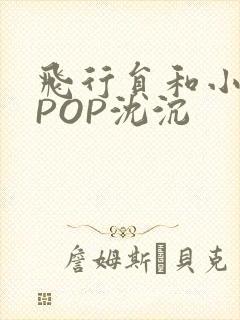 飞行员和小空乘POP沈沉