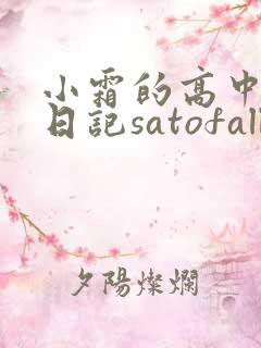 小霜的高中成长日记satofall