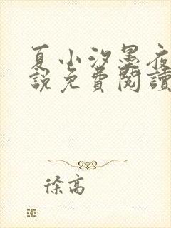 夏小汐墨夜霆小说免费阅读