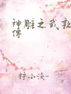 神雕之武敦儒大传