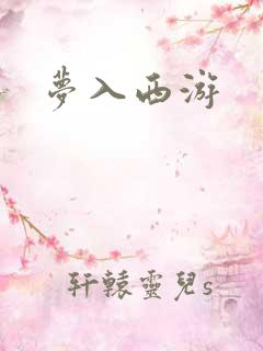 梦入西游