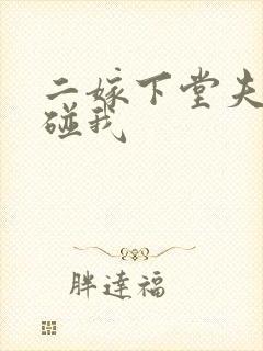 二嫁下堂夫君别碰我