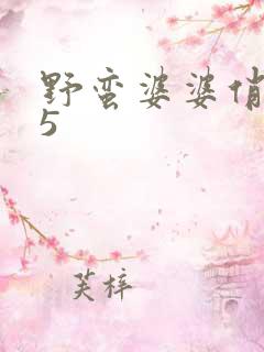 野蛮婆婆俏媳妇5