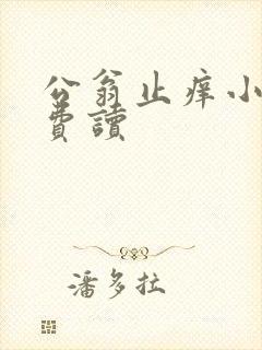 公翁止痒小说免费读