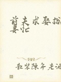 前夫求娶总裁追妻忙