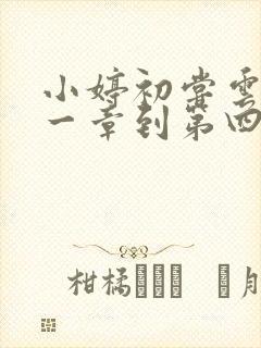 小婷初尝云雨第一章到第四章