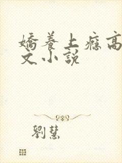 娇养上瘾高H爽文小说