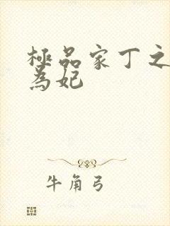 极品家丁之册母为妃