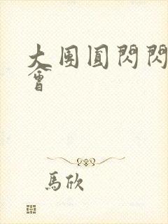 大团圆闪闪相亲会