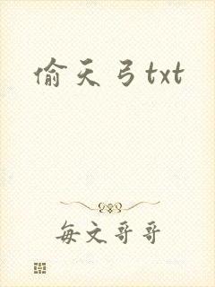 偷天弓txt