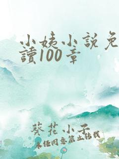 小姨小说免费阅读100章