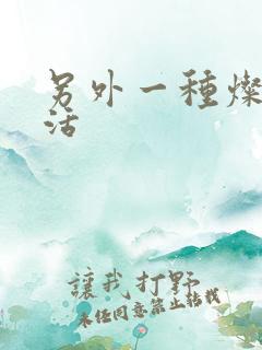 另外一种灿烂生活