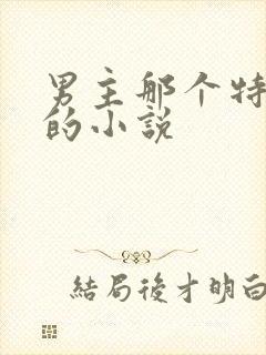 男主那个特别大的小说