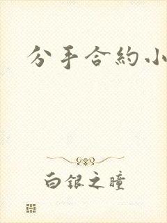 分手合约小说
