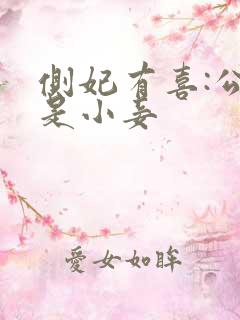 侧妃有喜:公主是小妾