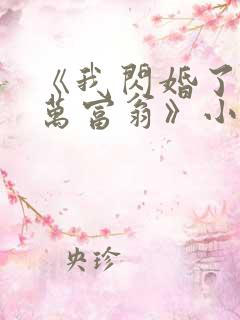 《我闪婚了个亿万富翁》小说