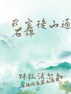 我家后山通仙界石锦