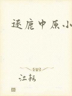 逐鹿中原小说