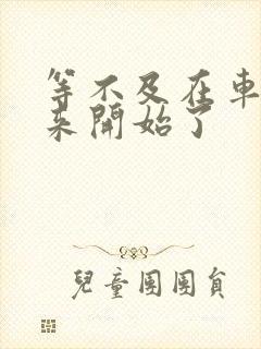 等不及在车里就来开始了