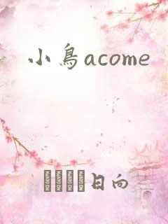 小鸟acome