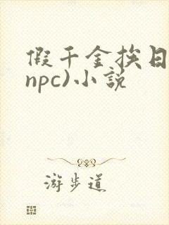 假千金挨日记(npc)小说