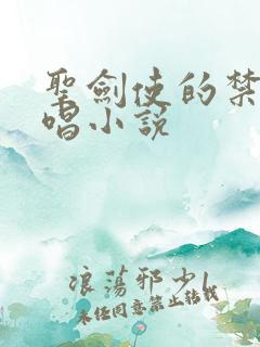 圣剑使的禁咒咏唱小说