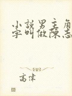 小说男主角的名字叫做陈志远