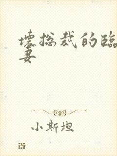 坏总裁的临时娇妻