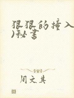 狠狠的撞入(h)秘书