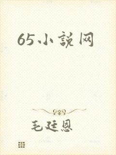 65小说网