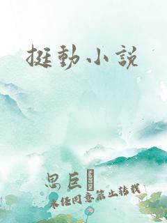 挺动小说