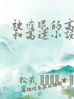 被催眠的高小柔和高达小说