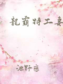 龙霸特工妻