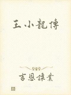 王小龙传