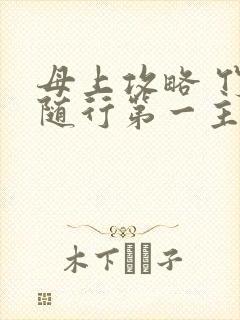 母上攻略 竹影随行第一主板