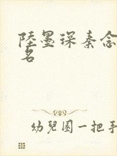 陆墨琛秦念小说名