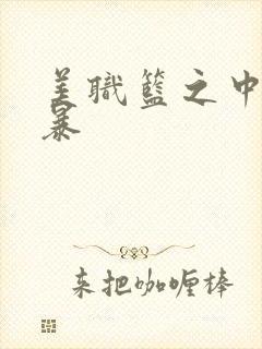 美职篮之中国风暴