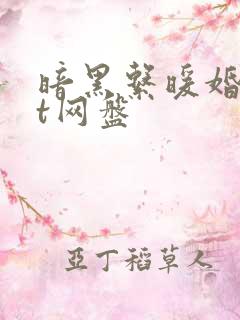 暗黑系暖婚txt网盘