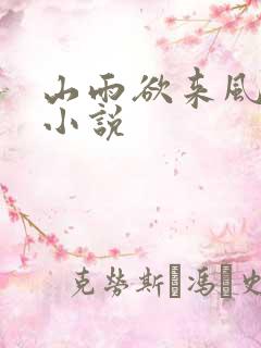 山雨欲来风满楼小说
